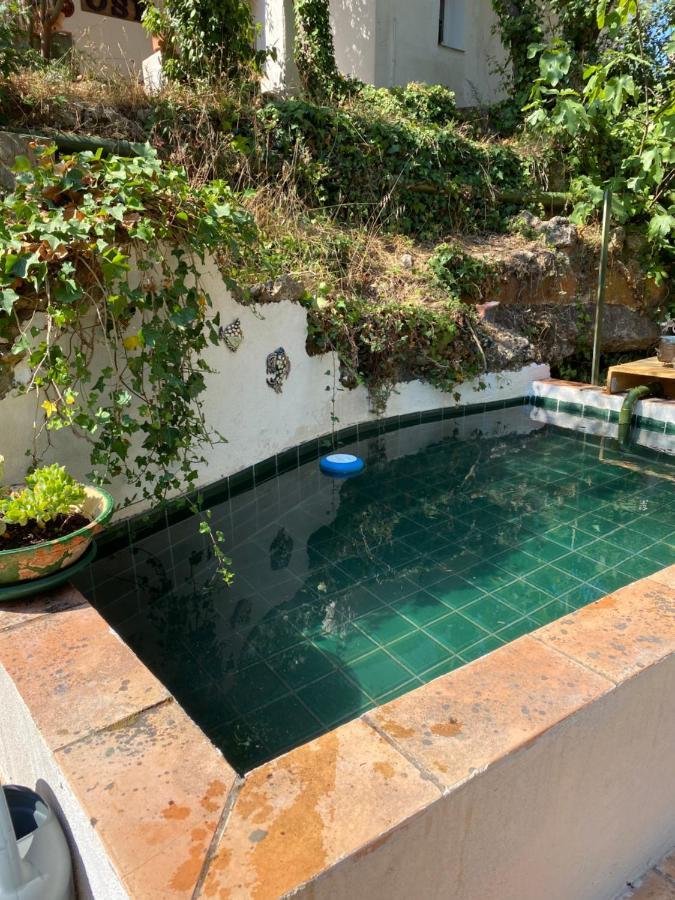 La mahasiah Villa Puget-sur Argens Bagian luar foto